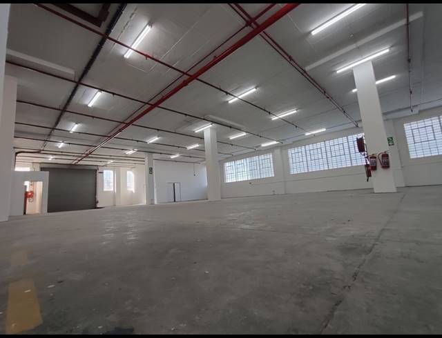1,414M² WAREHOUSE TO LET IN MAITLAND